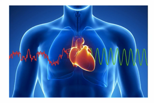 Harmonizace srdce a mozku