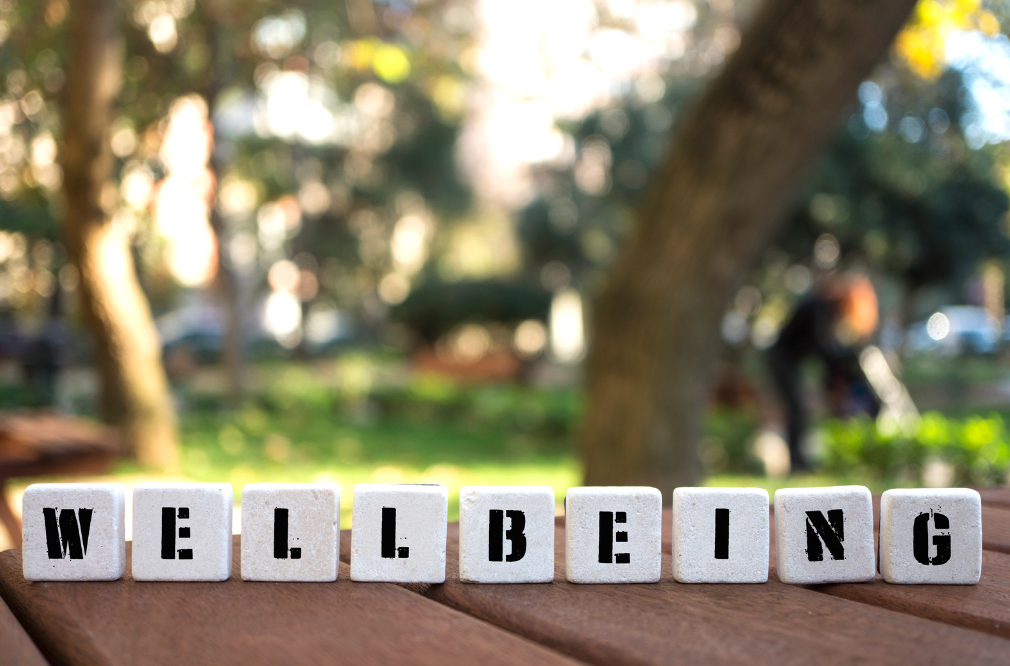 Wellbeing, well-being co vlastně znamená?